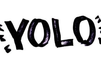 An Insight into YOLO Deep Learning