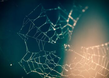 Building Convolutional Neural Networks on TensorFlow