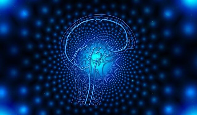 Basics of Neural Networks