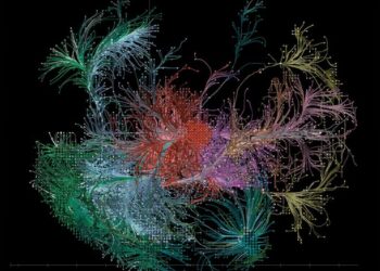 Text Detection in OCR using EAST
