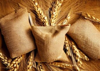 India’s Remarkable Journey to Provide Free Meals for 80 crore citizens