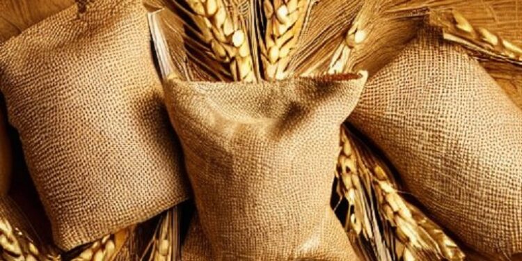 India’s Remarkable Journey to Provide Free Meals for 80 crore citizens