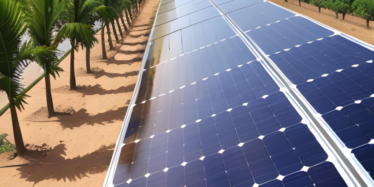 Powering a Green Future: India’s Successful Transition towards Renewable Energy